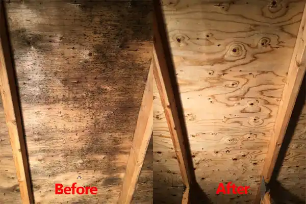 water damage restoration service Round Lake